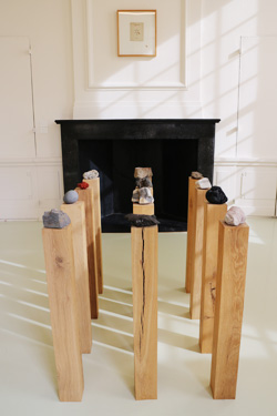 141810_Herman de Vries sms_0019kopie