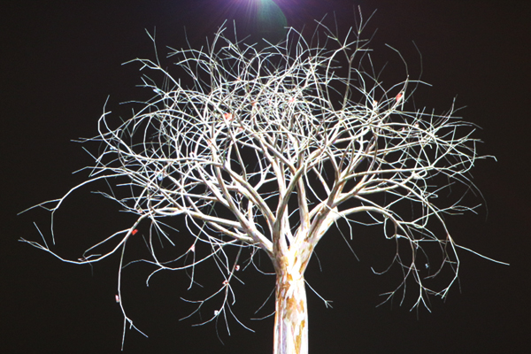 New horizons @ Fries museum